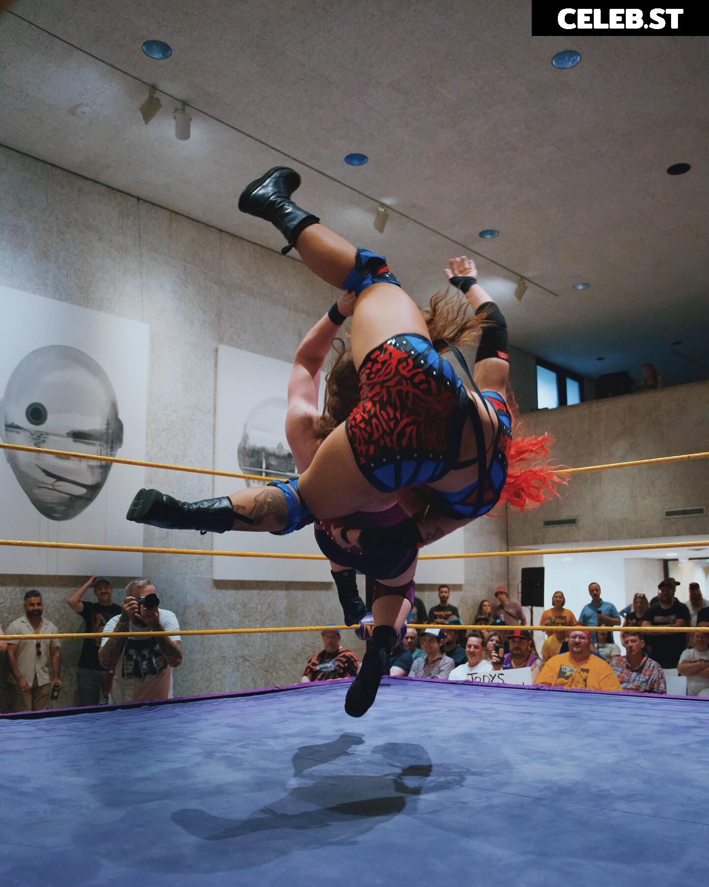Women of Professional Wrestling Image 23664690