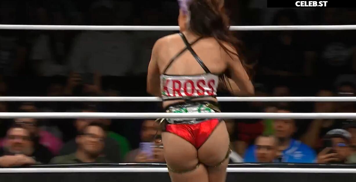Women of Professional Wrestling Image 23667992