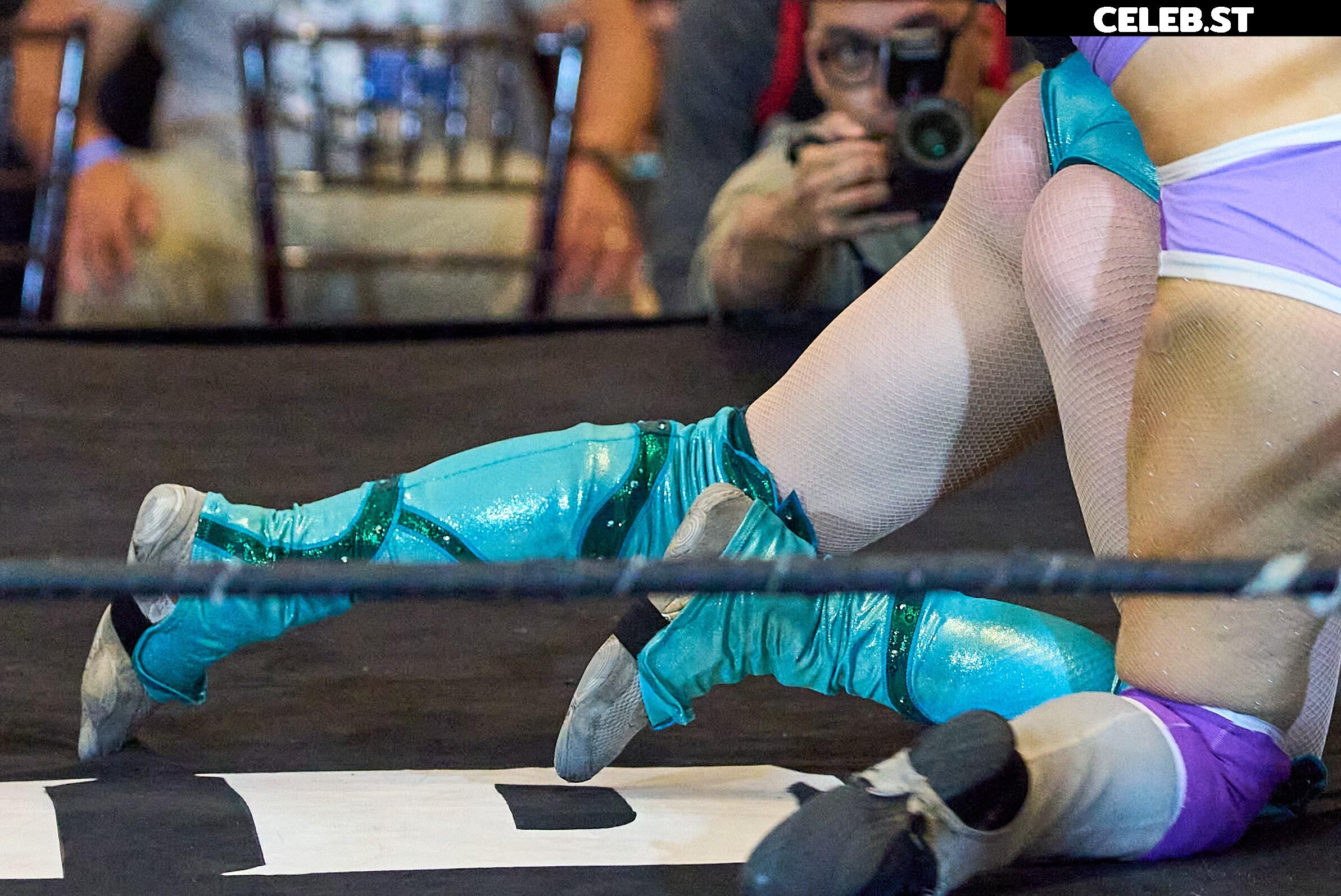 Women of Professional Wrestling Image 23667596