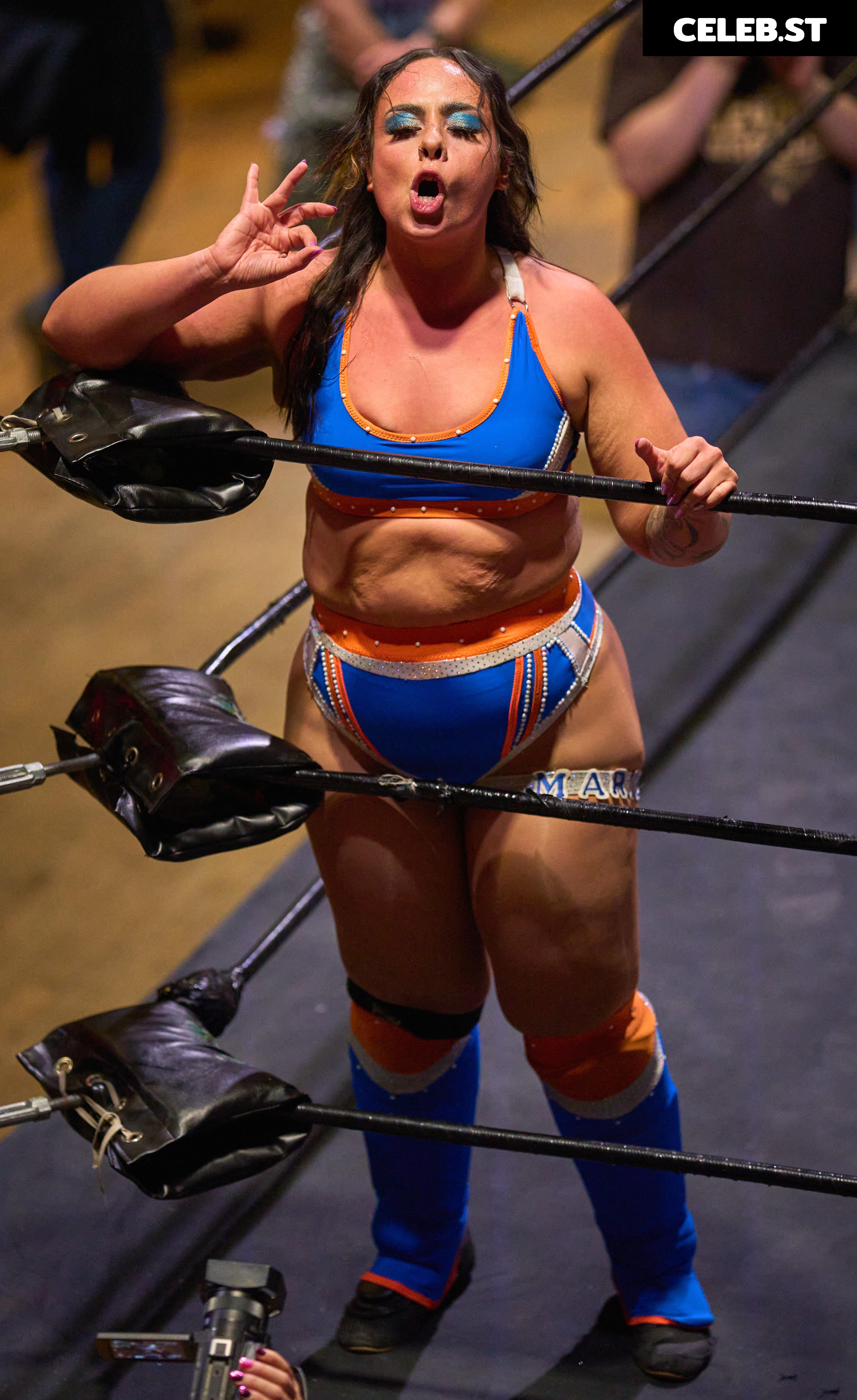 Women of Professional Wrestling Image 23667172