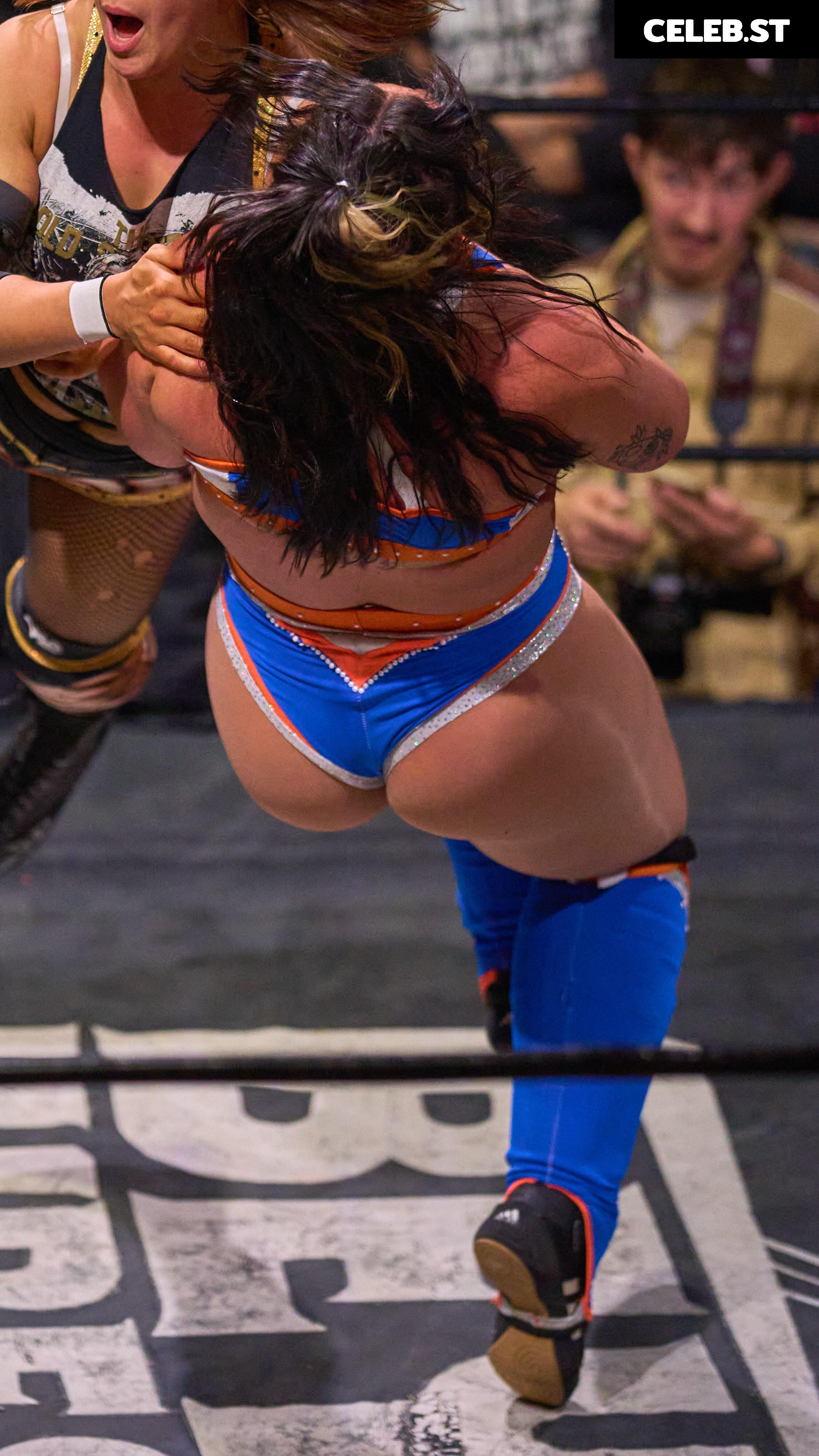 Women of Professional Wrestling Image 23667174