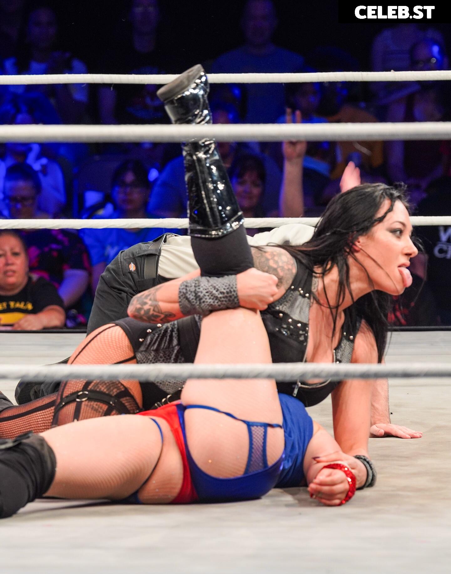 Women of Professional Wrestling Image 23667090