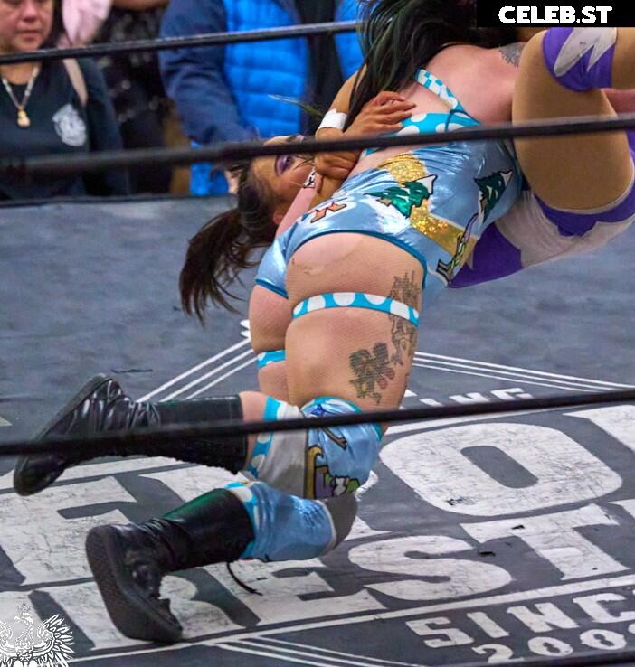 Women of Professional Wrestling Image 23667308