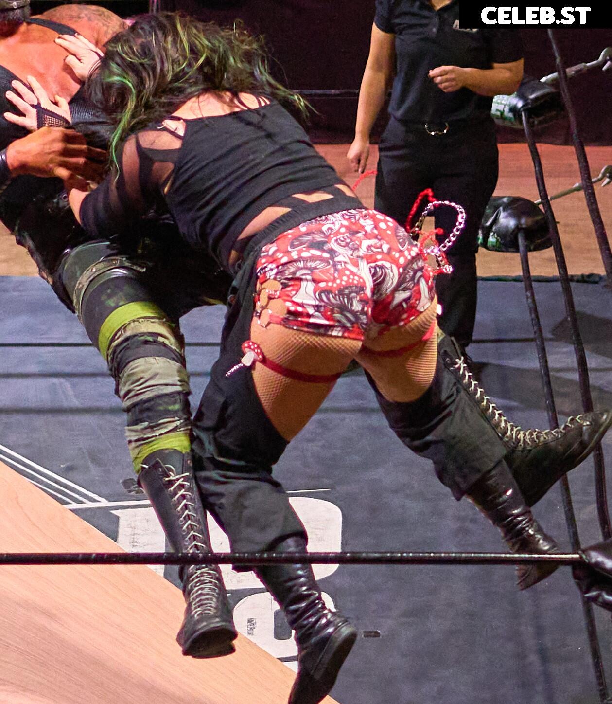 Women of Professional Wrestling Image 23666920
