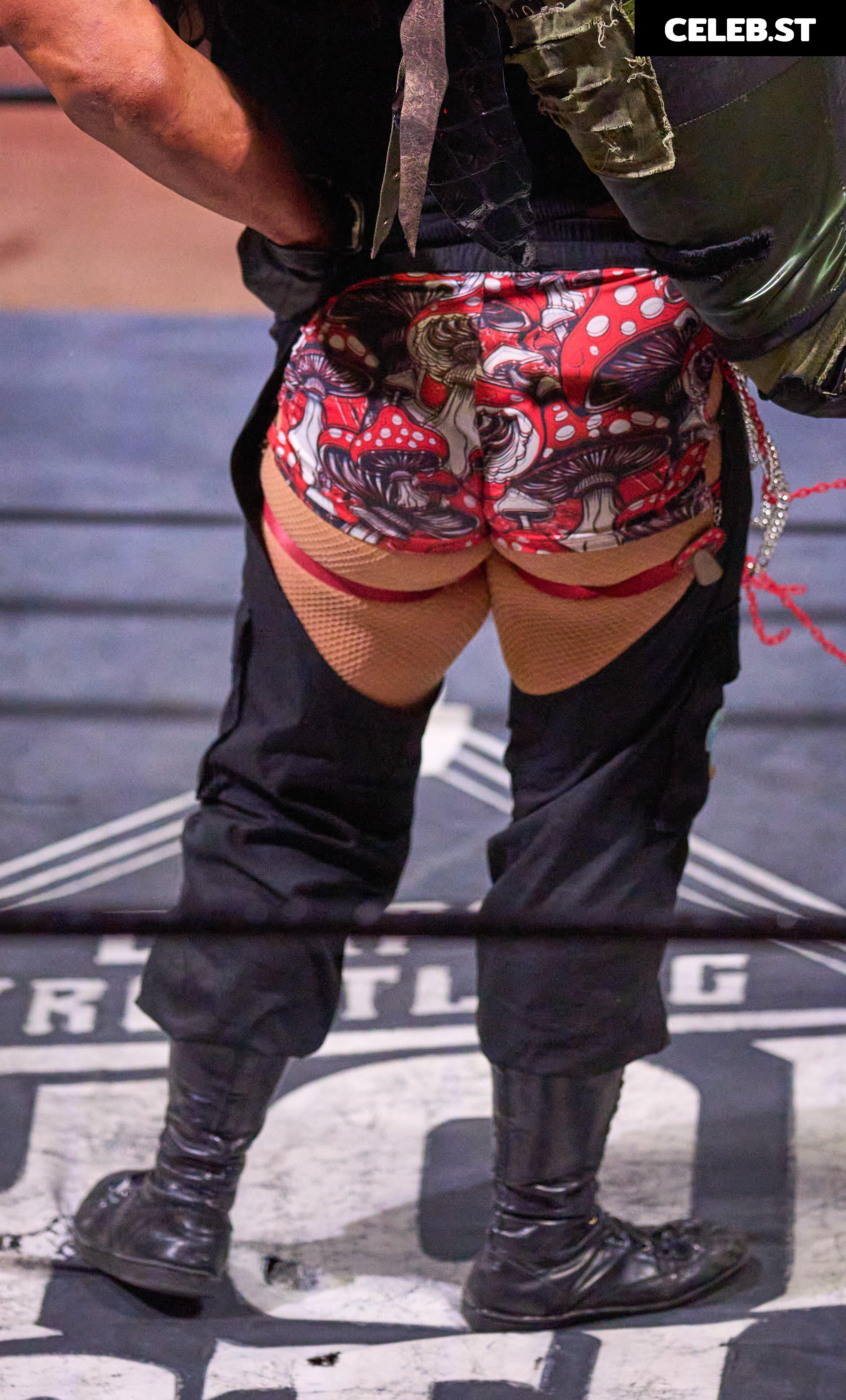 Women of Professional Wrestling Image 23666932