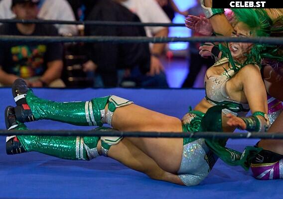 Women of Professional Wrestling Image 23666940