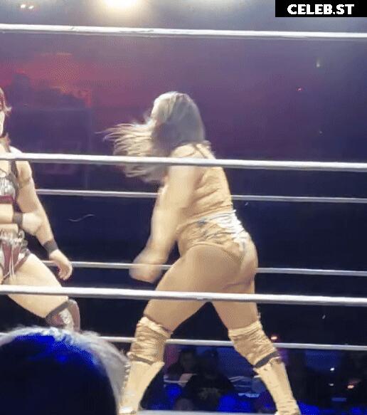 Women of Professional Wrestling Image 23666045