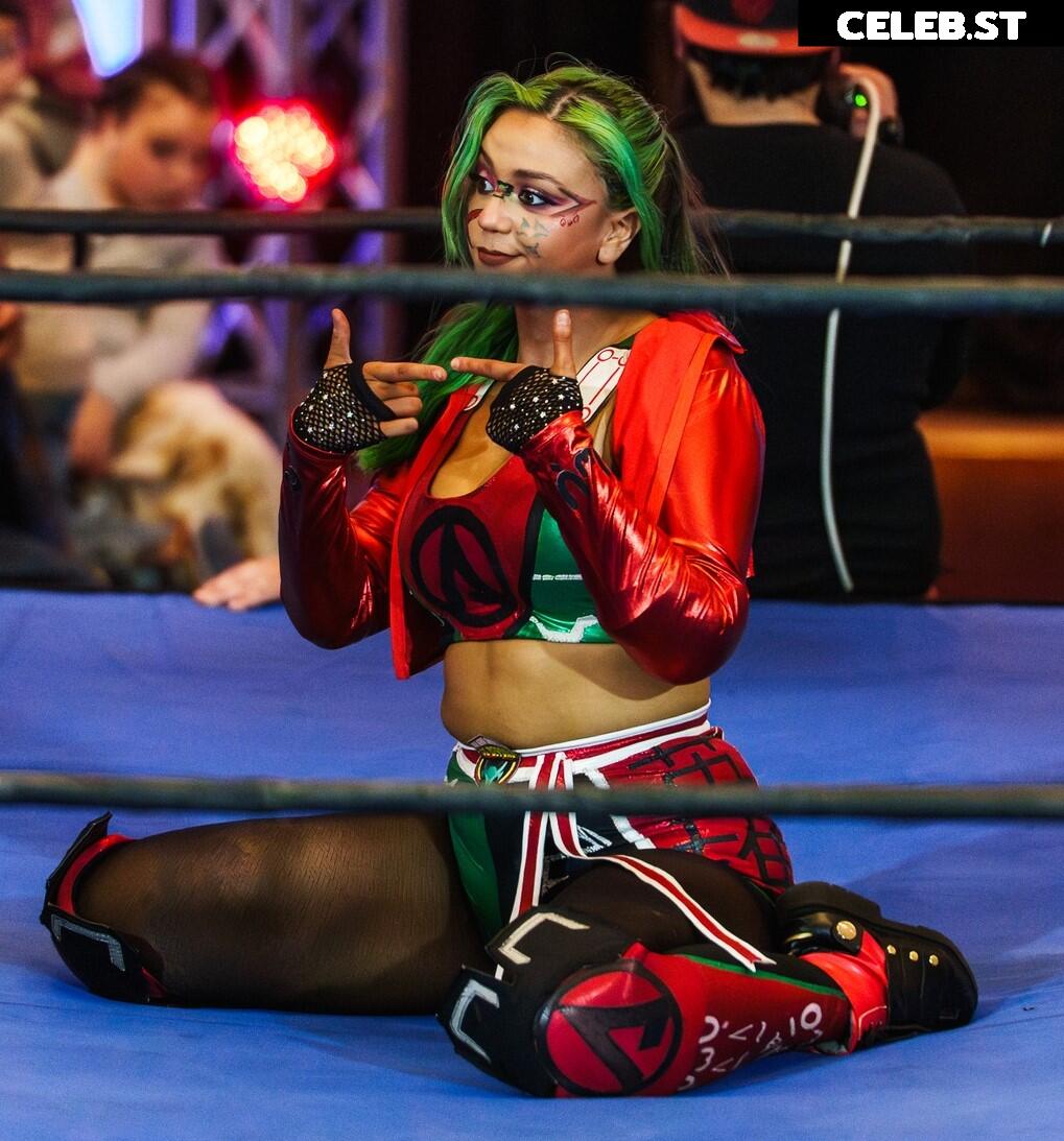 Women of Professional Wrestling Image 23666360
