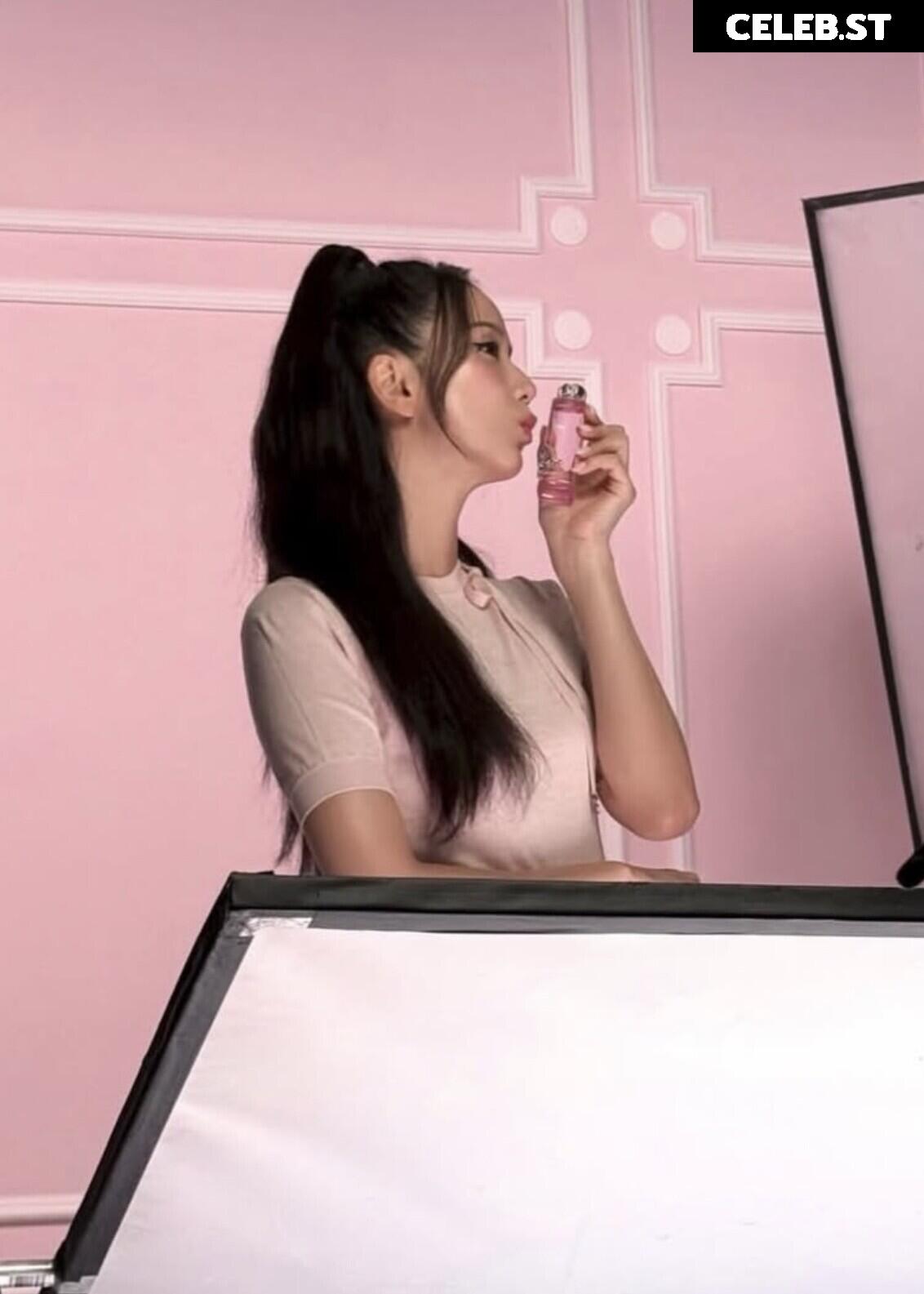 Jisoo  || - BLΛƆKPIИK ( BLACKPINK ) Image 23661217