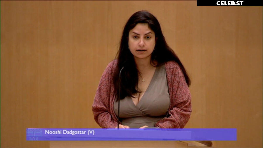 Political Ladies Image 23660440