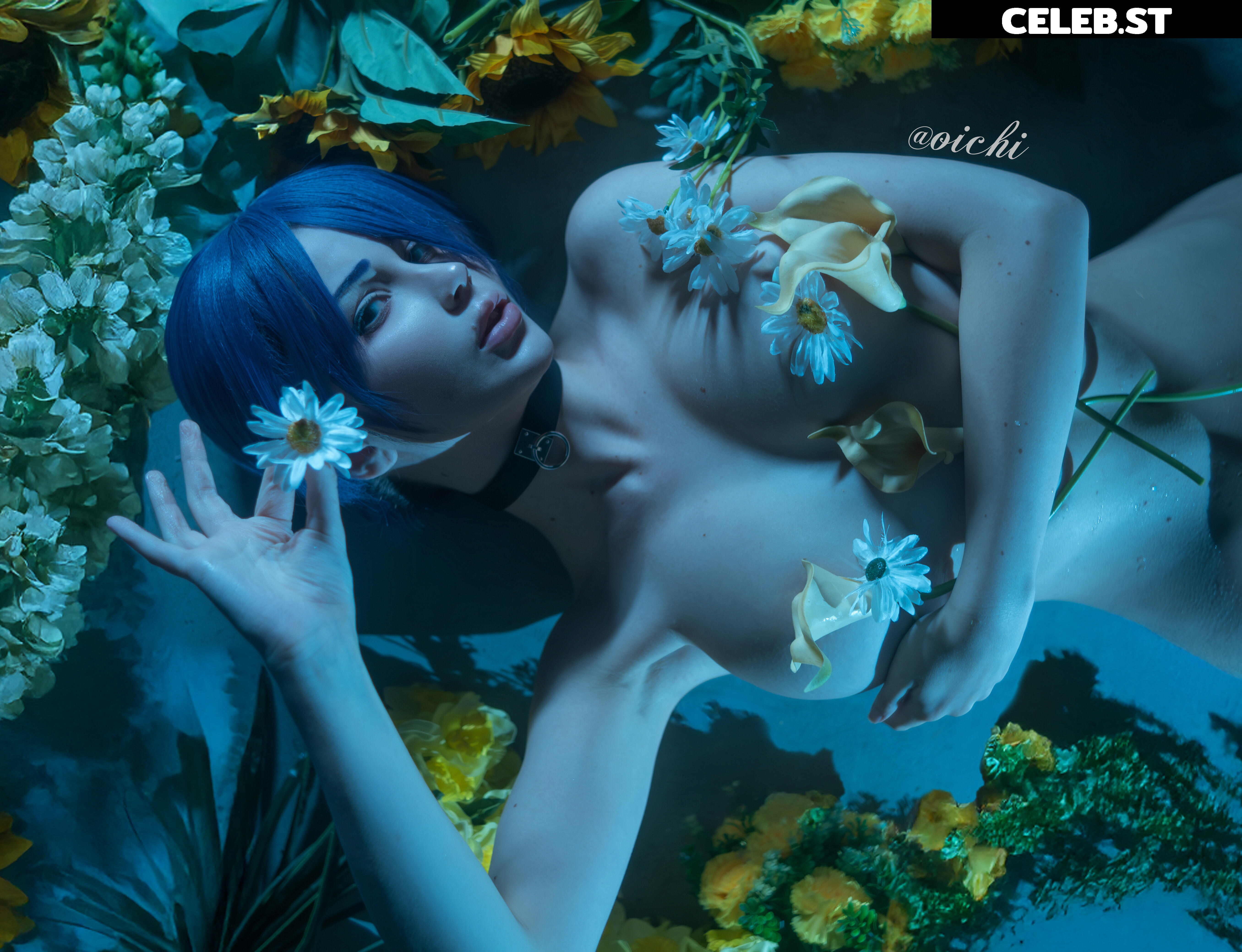 Oichi Image 23662904