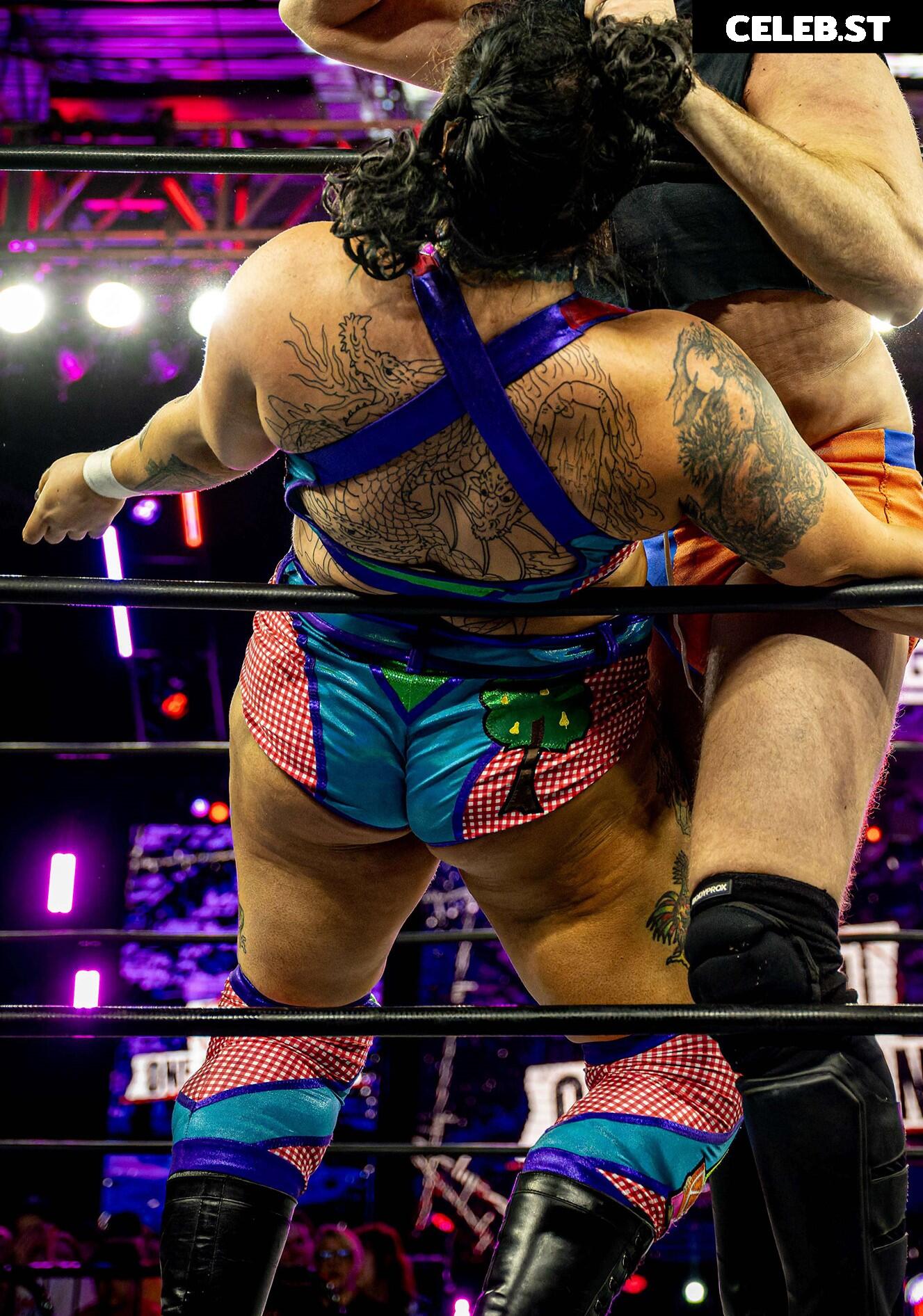 Women of Professional Wrestling Image 23669115