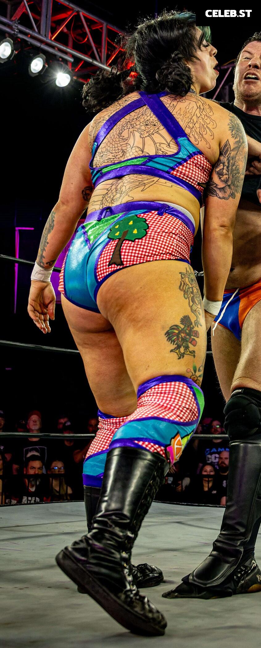 Women of Professional Wrestling Image 23669118