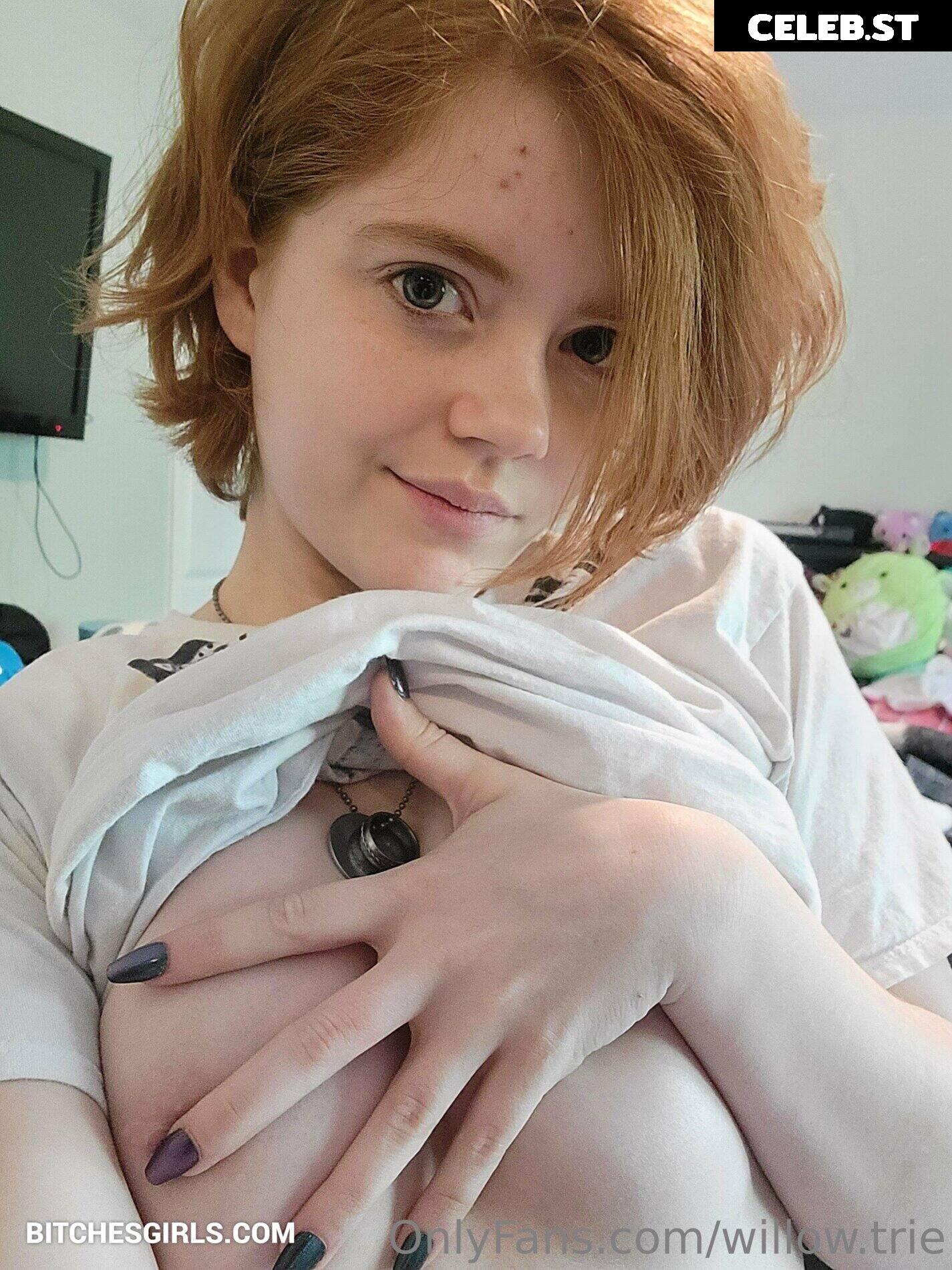 Willow Trie Image 2367592