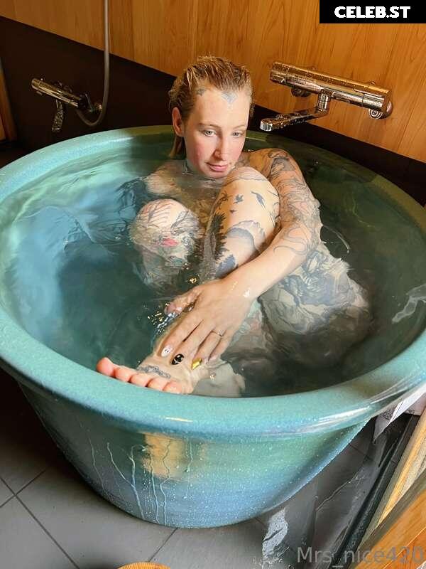 mrs_nice Image 2367039