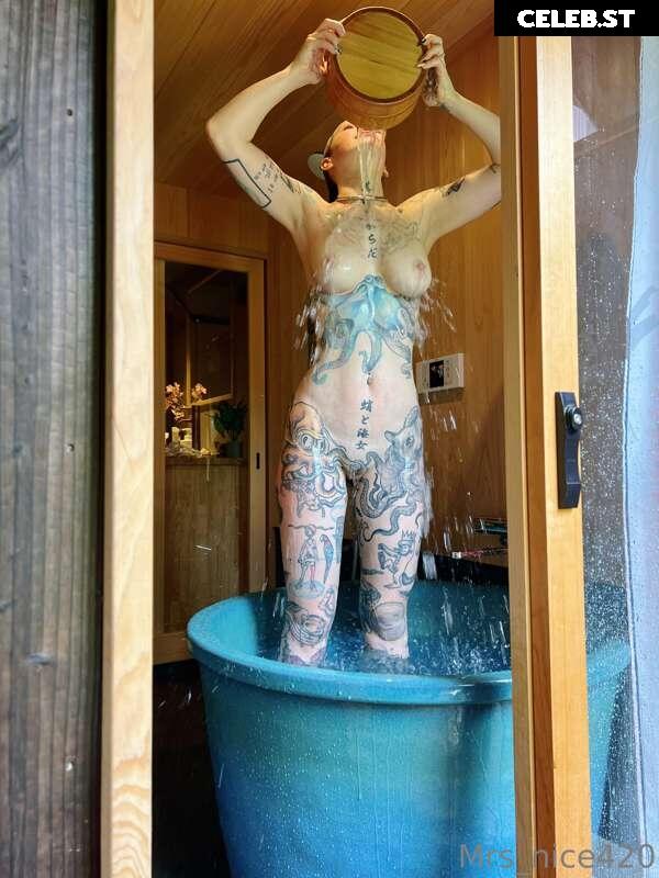 mrs_nice Image 2367321