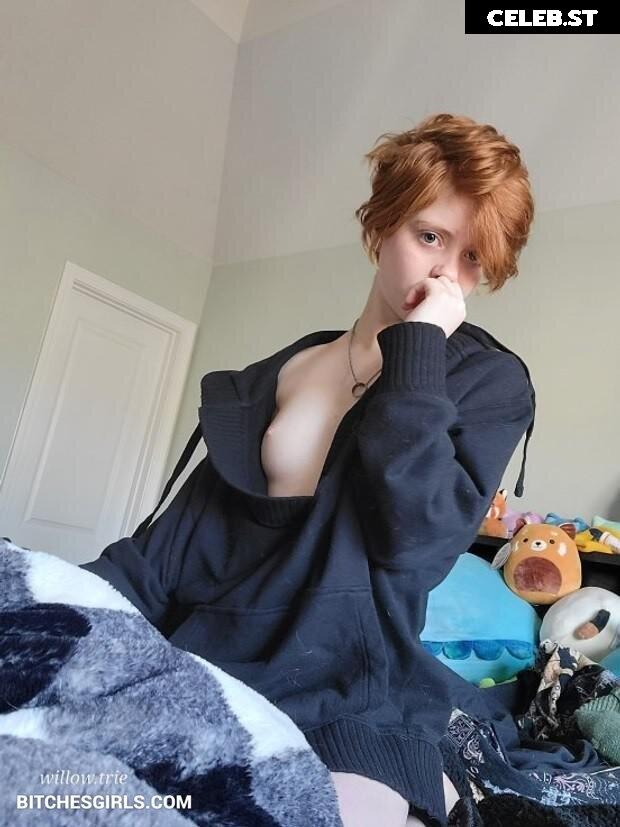 Willow Trie Image 2364241