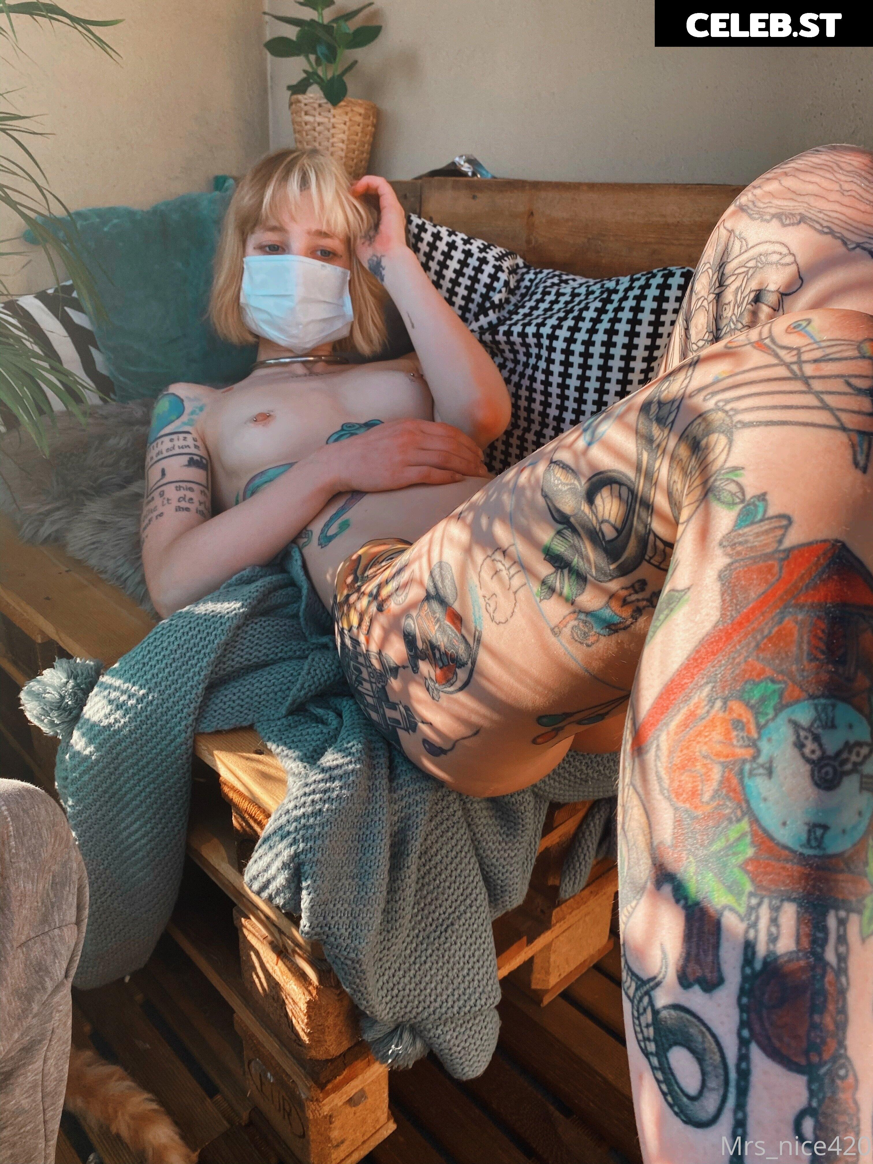 mrs_nice Image 2361103