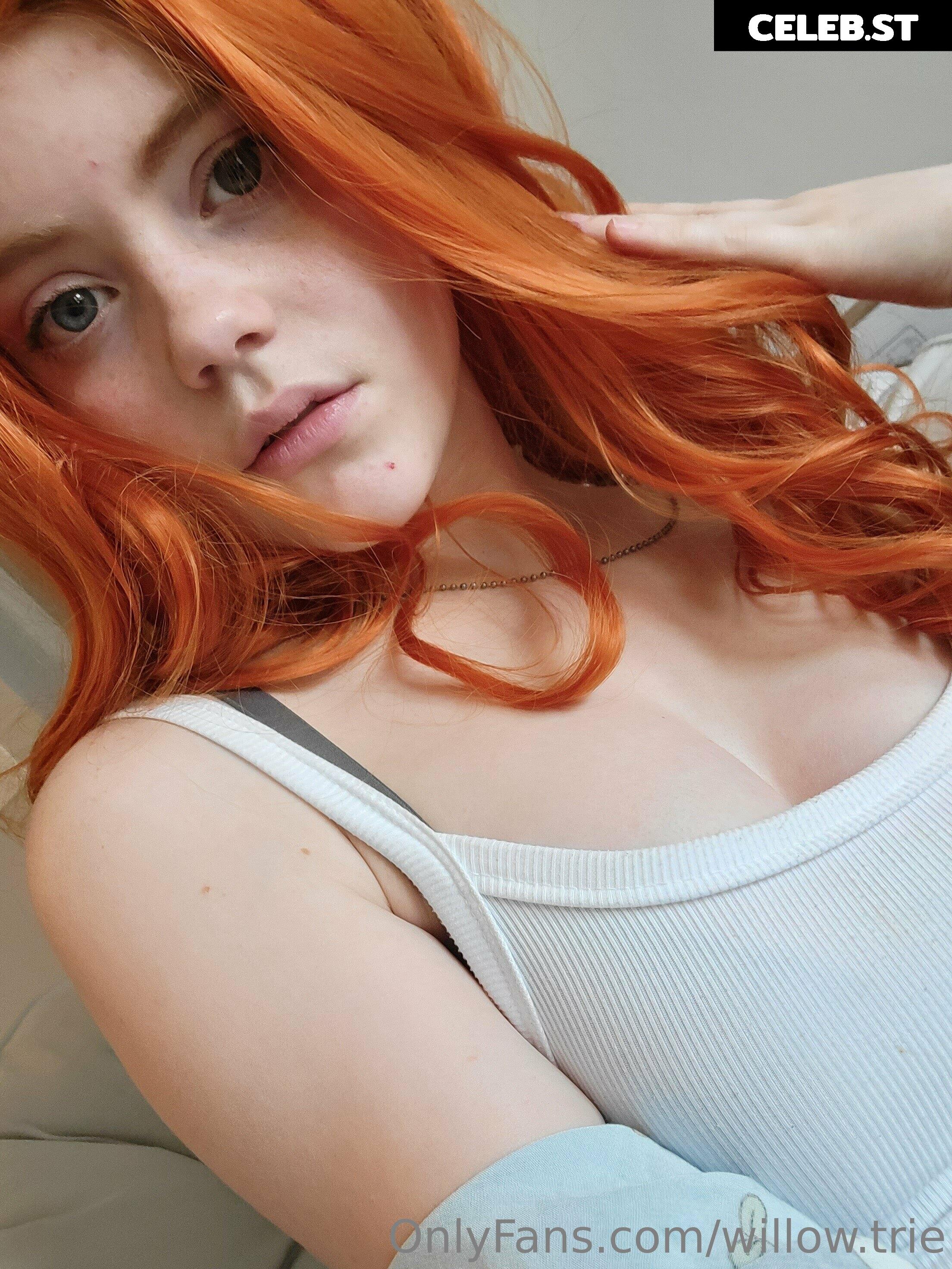 Willow Trie Image 2362318