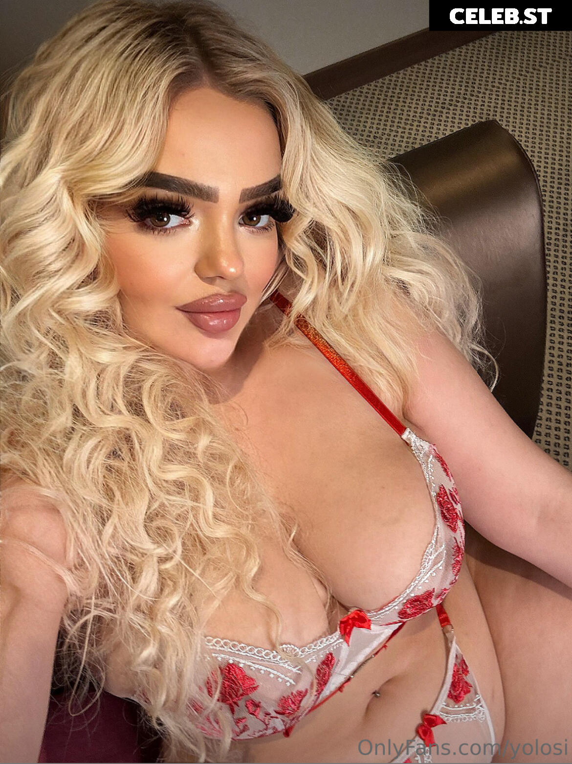 Yolosi Image 2362241