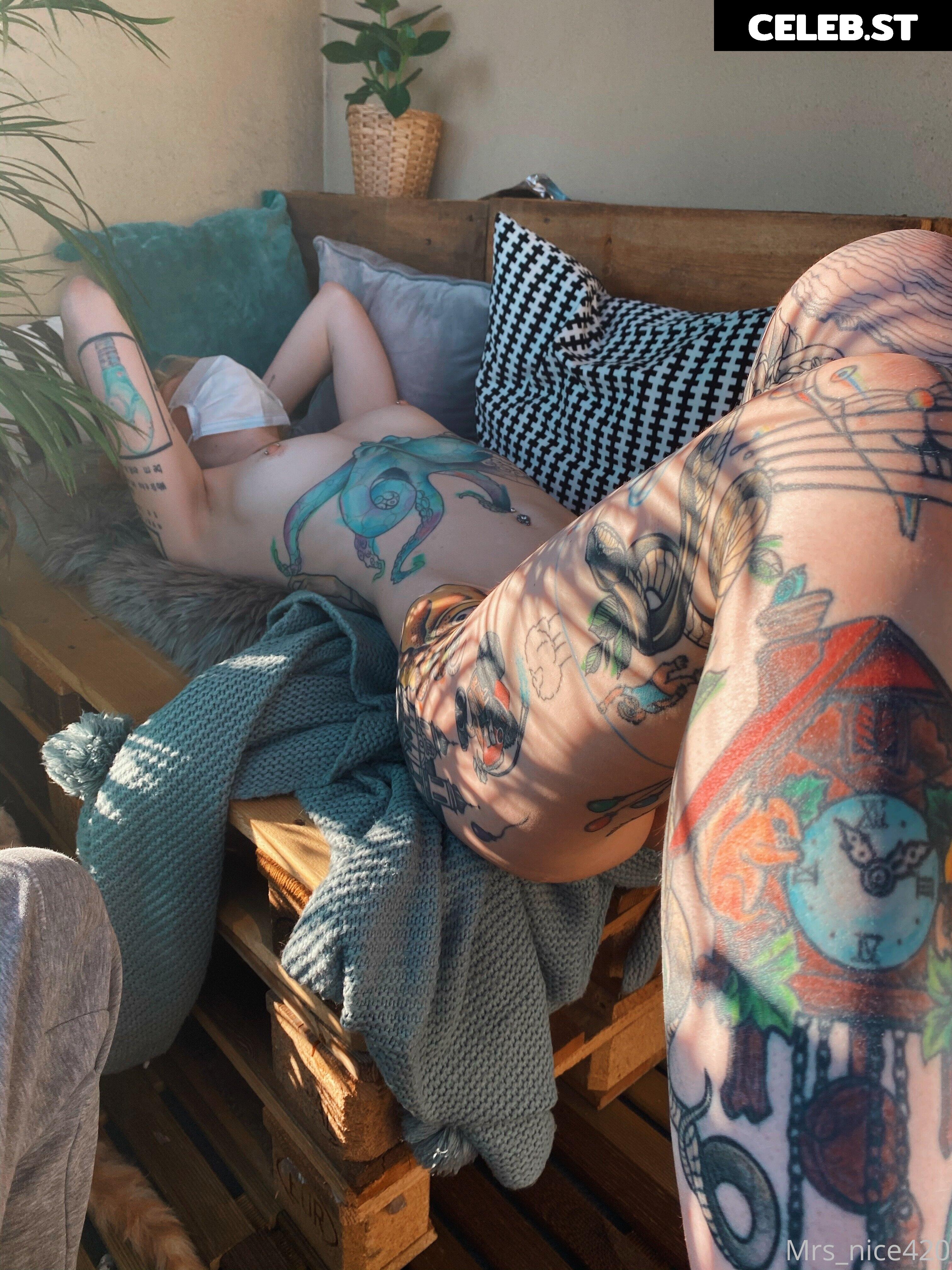 mrs_nice Image 2360666