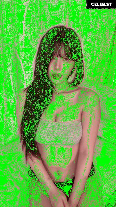 yule_.0.03 Image 23601533