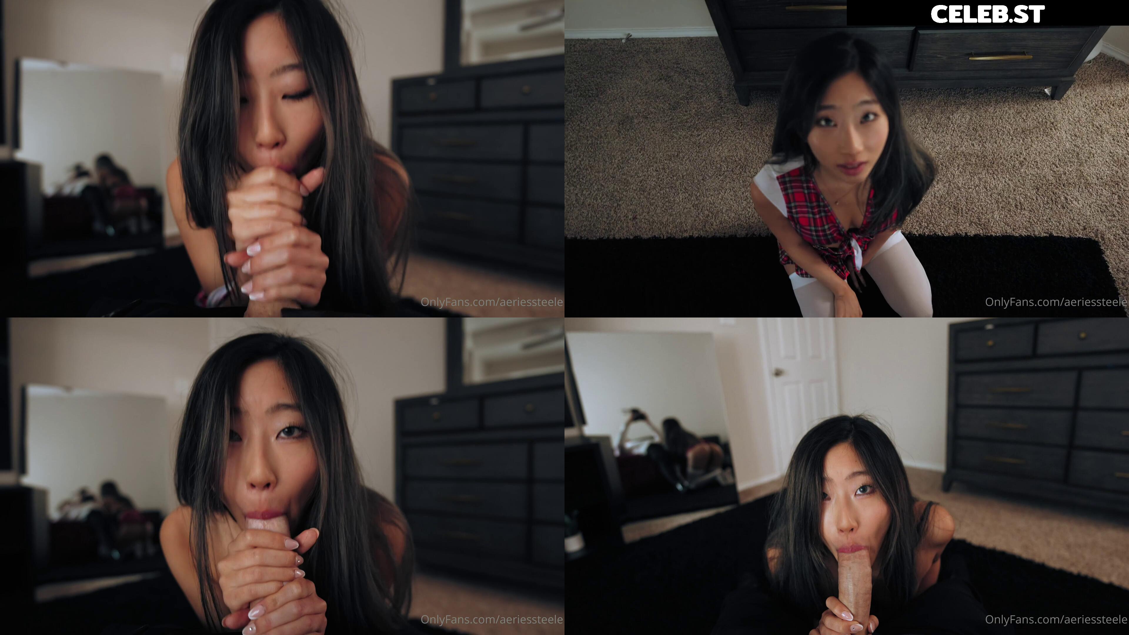 Aeries Steele Image 2360071