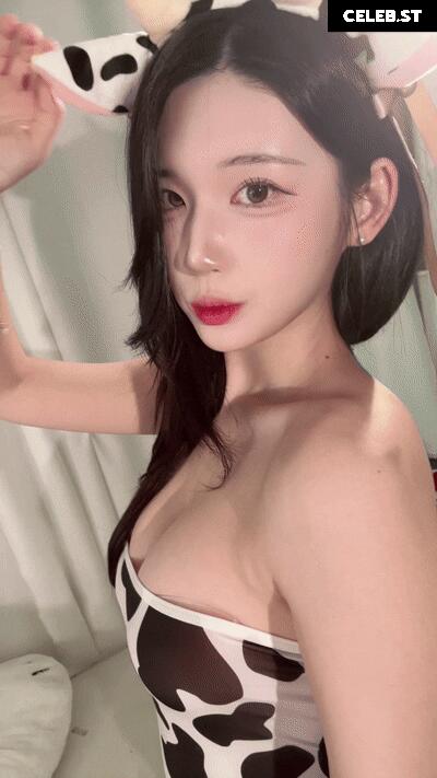 yule_.0.03 Image 23600754