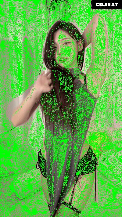 yule_.0.03 Image 23600678