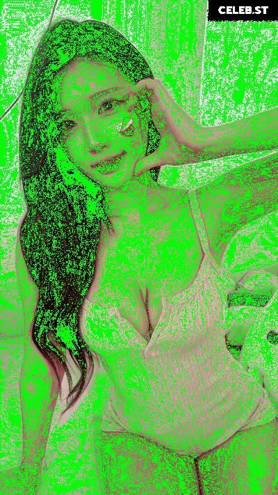 yule_.0.03 Image 23600274