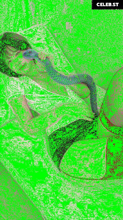 yule_.0.03 Image 23602198