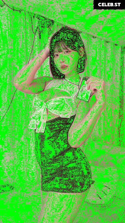 yule_.0.03 Image 23602024
