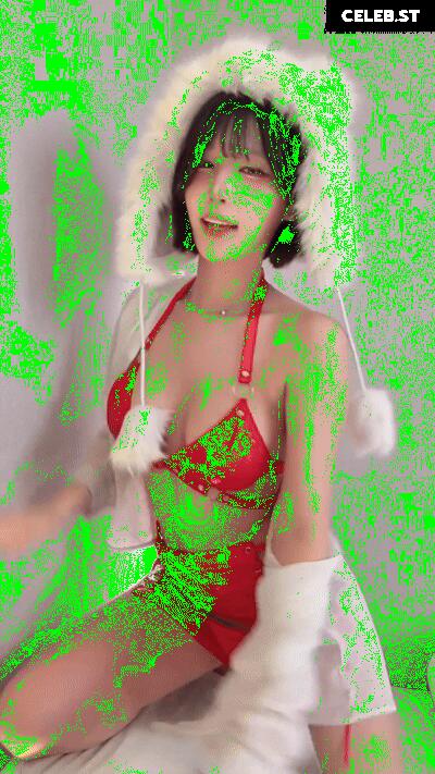 yule_.0.03 Image 23602212