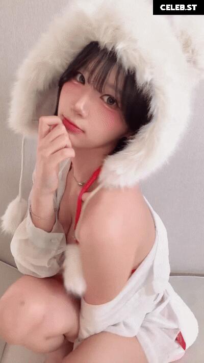 yule_.0.03 Image 23602215