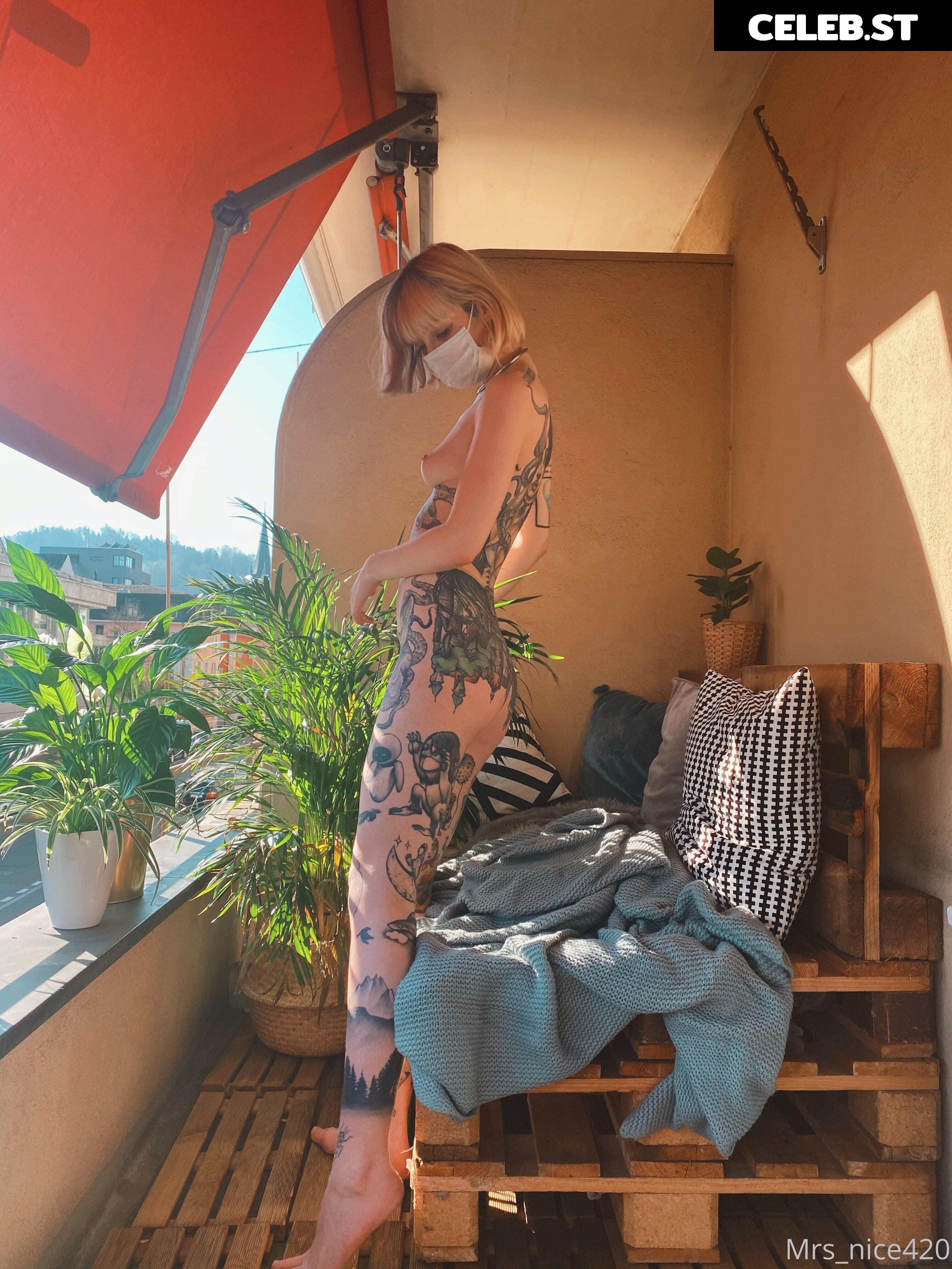 mrs_nice Image 2360922