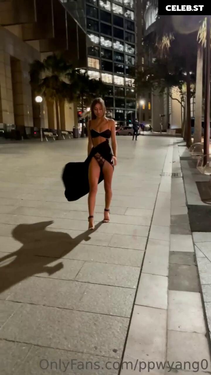 ppwyang Image 2368808