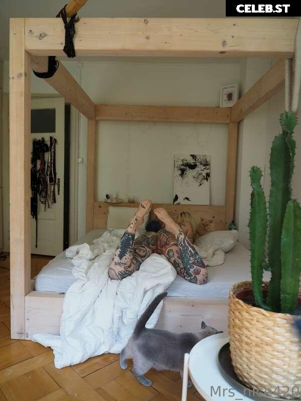 mrs_nice Image 2368491