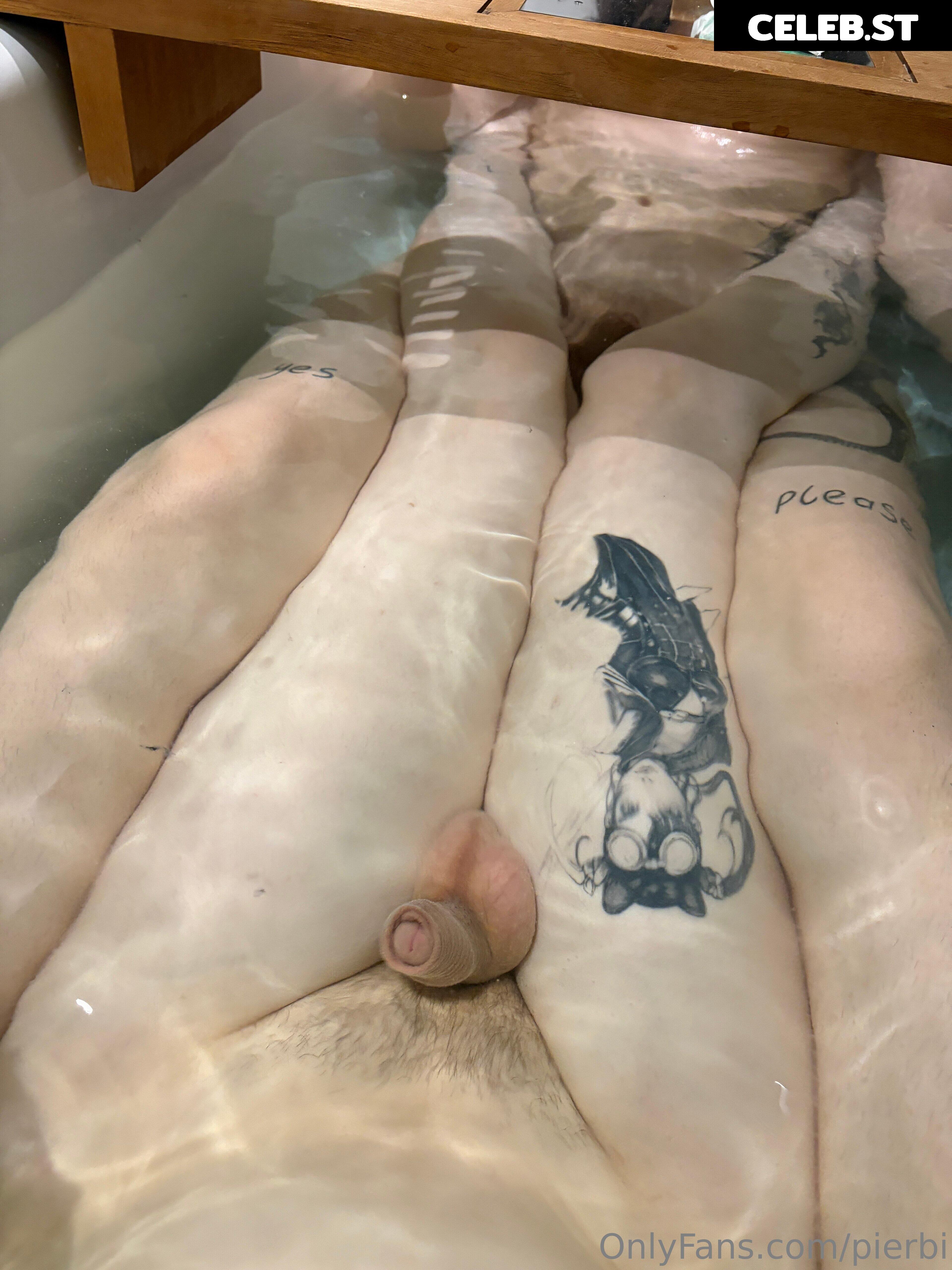 Pierbi Image 23687254