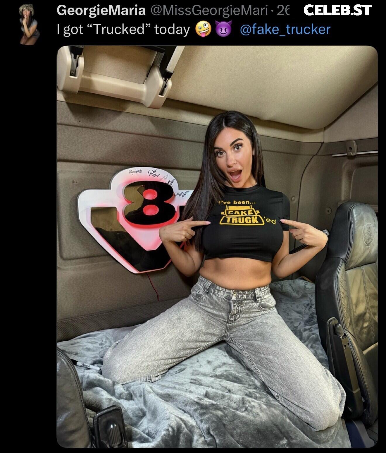 FakeTruckDriver Image 23686265