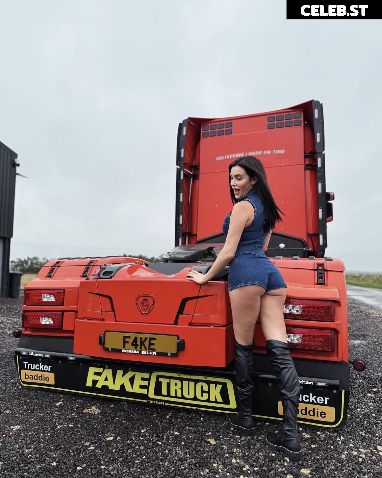 FakeTruckDriver Image 23686264