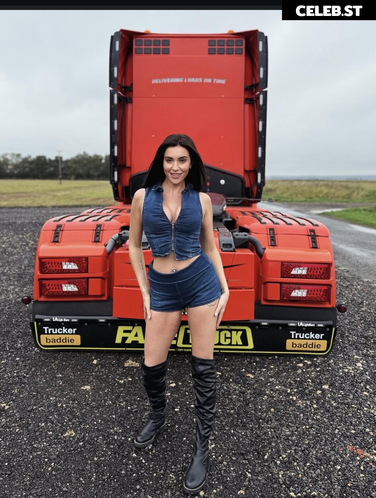 FakeTruckDriver Image 23686274
