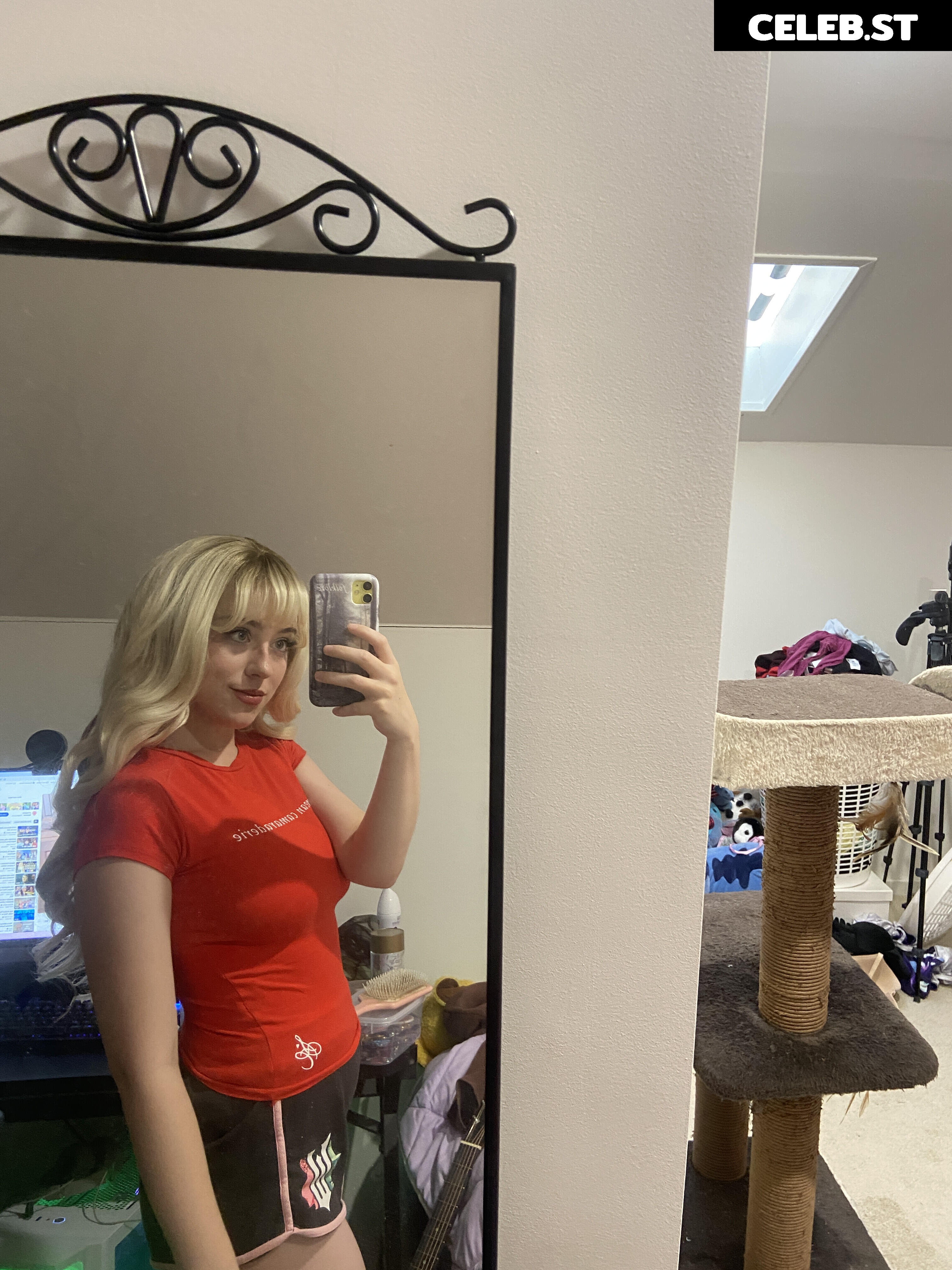 Ashlee Tayla Image 23556335