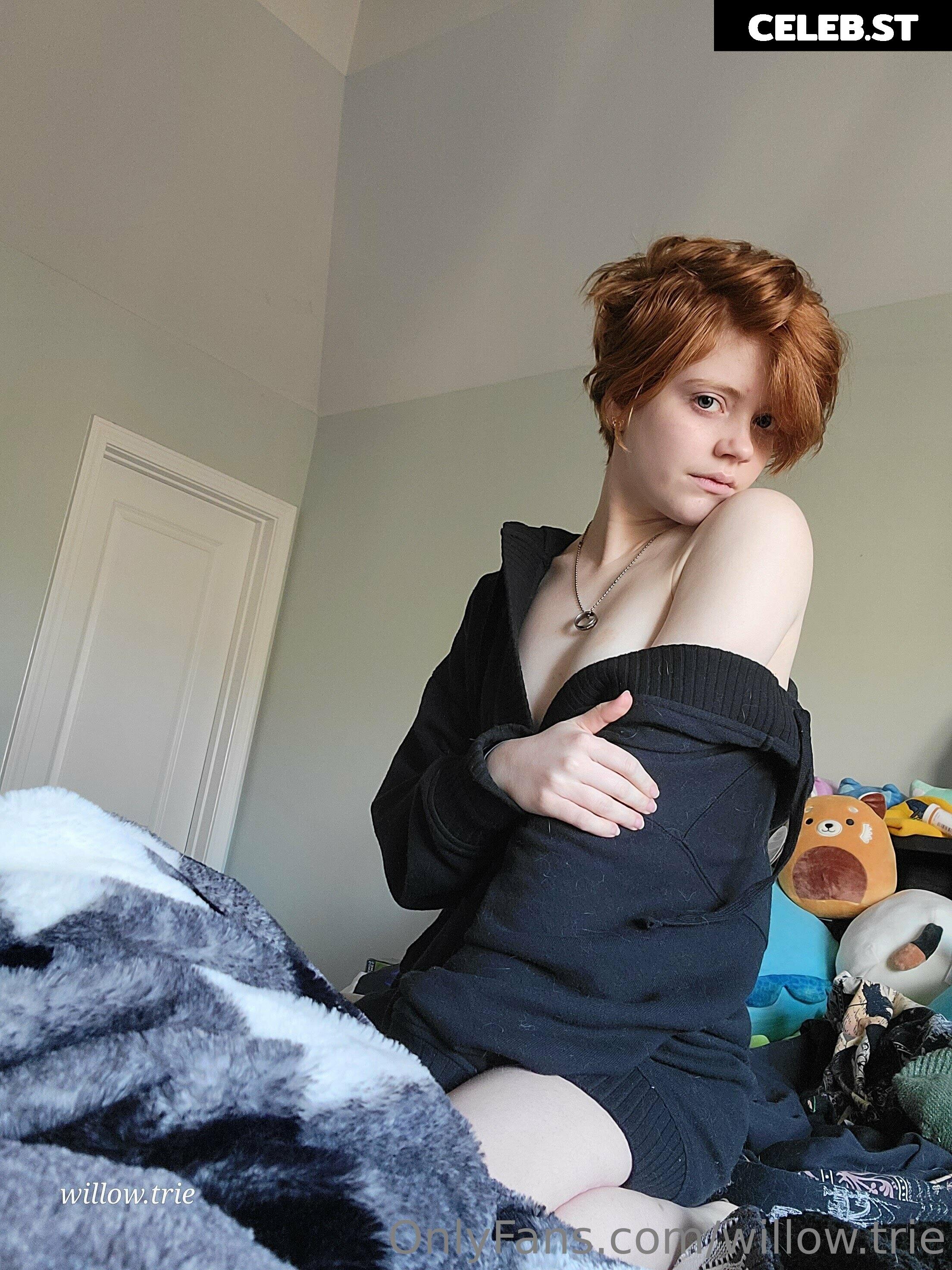 Willow Trie Image 2356115