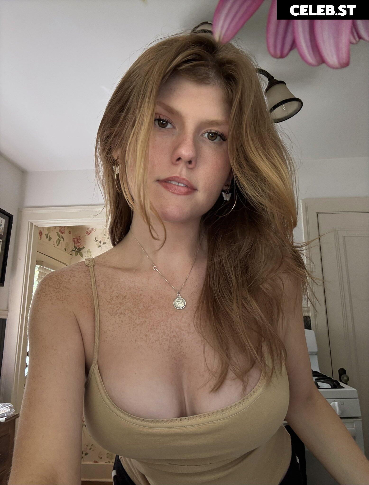 Mimosamantha Image 23578666