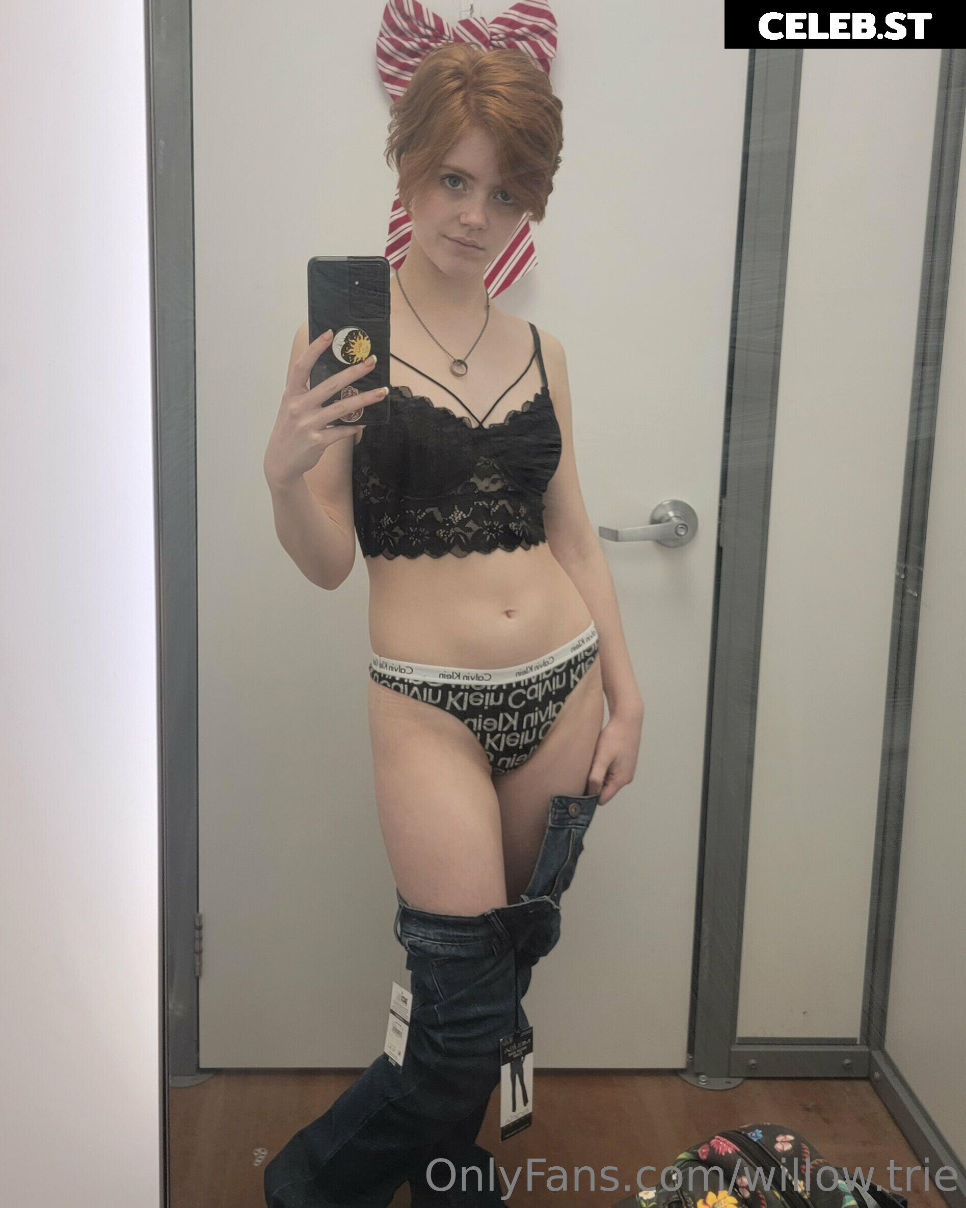 Willow Trie Image 2354230