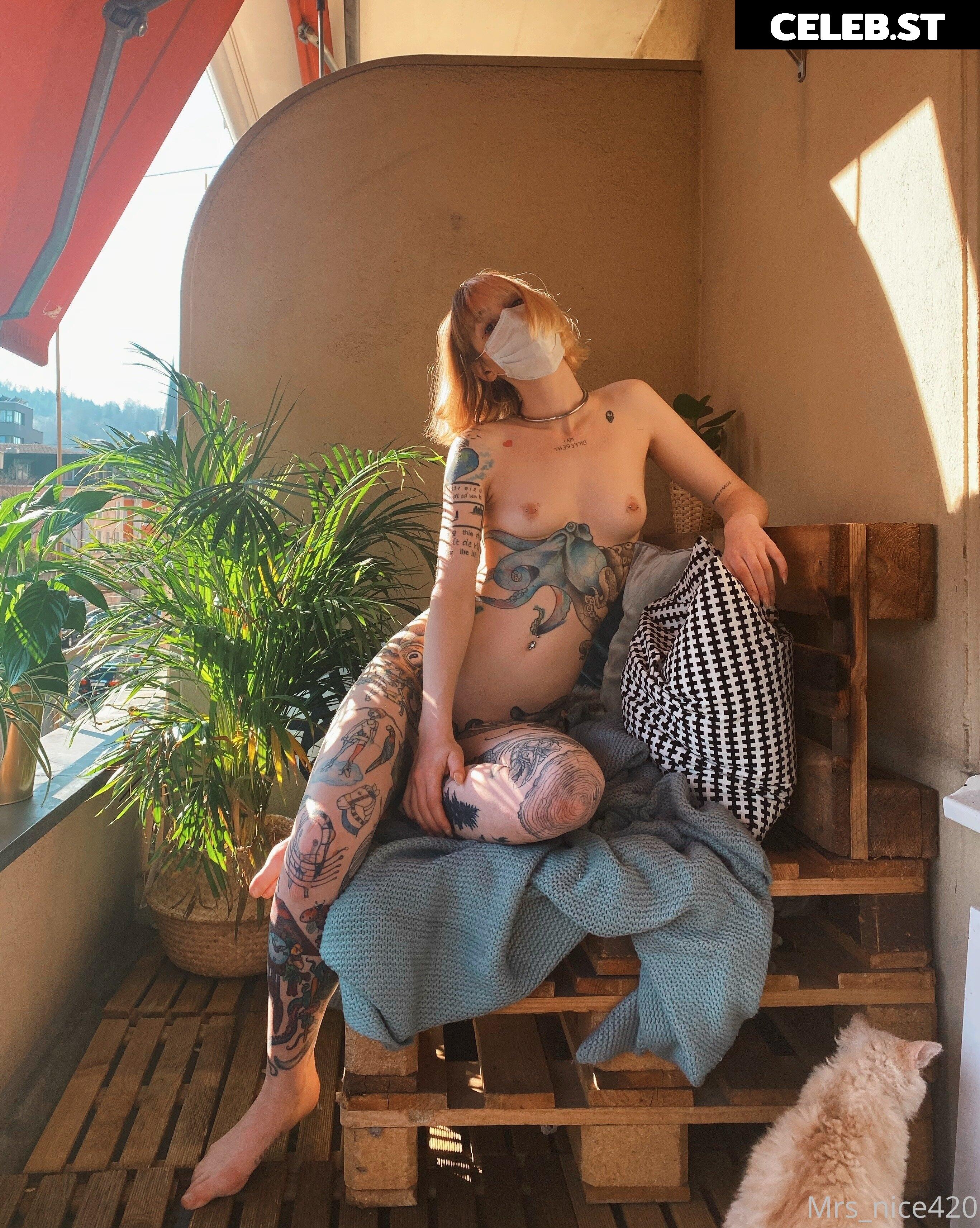 mrs_nice Image 2359754