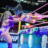 Tessa Blanchard (Wrestler) Image 23597114