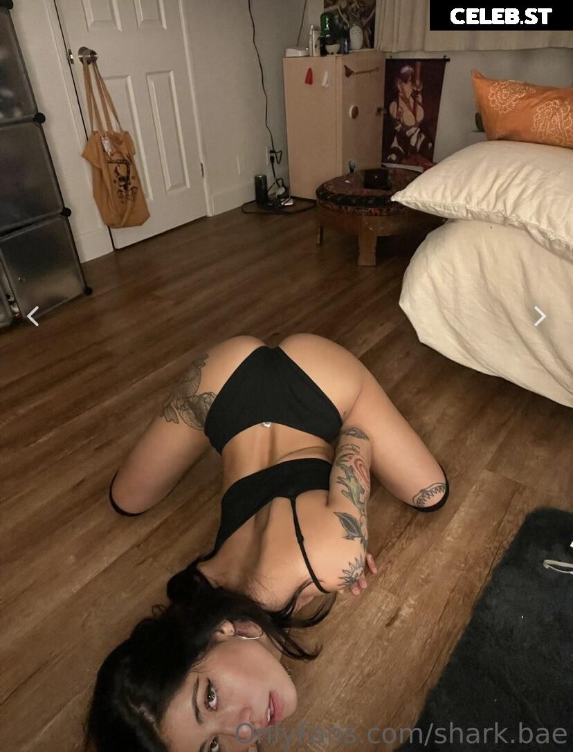 Shark Bae Image 2358828