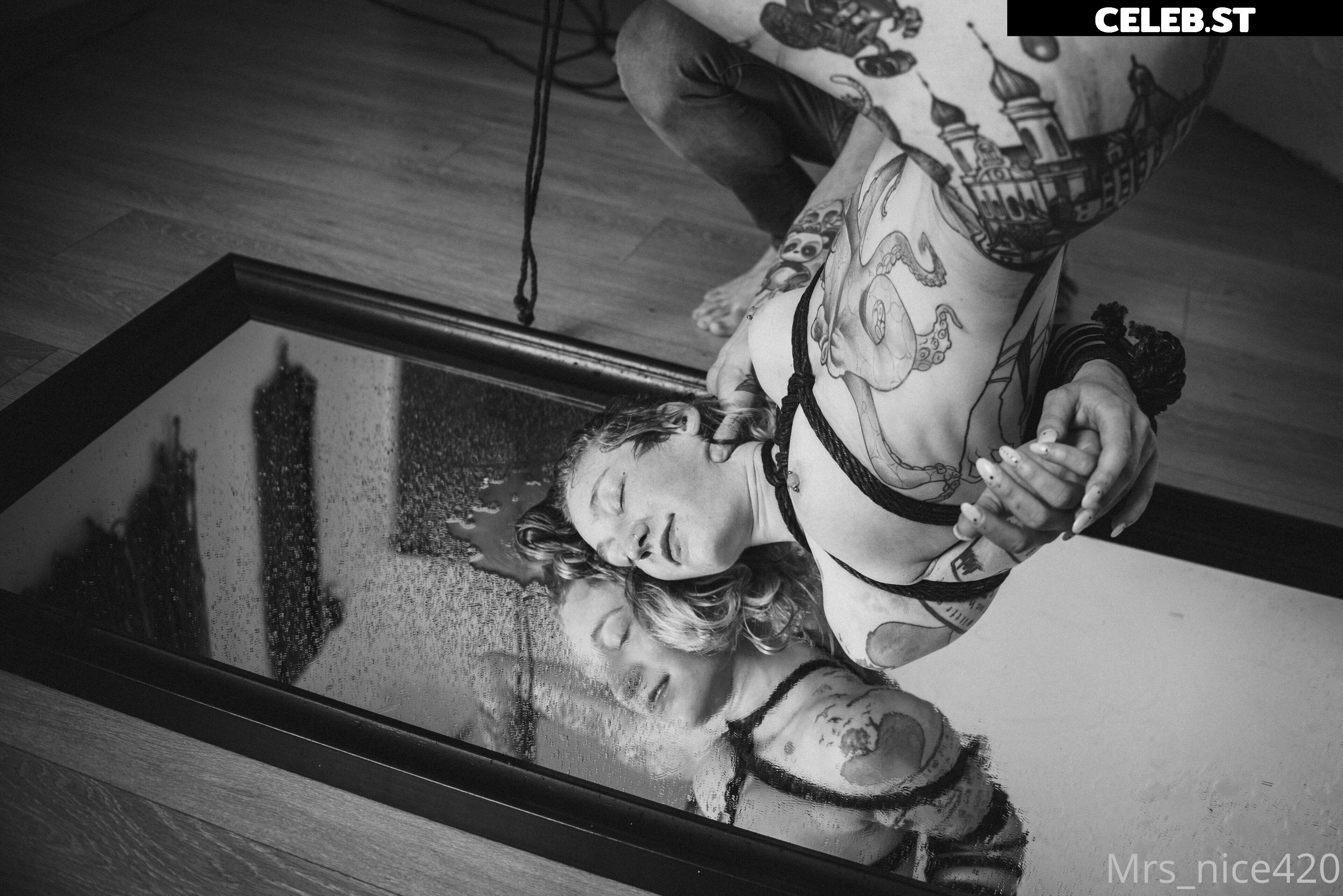 mrs_nice Image 2358417