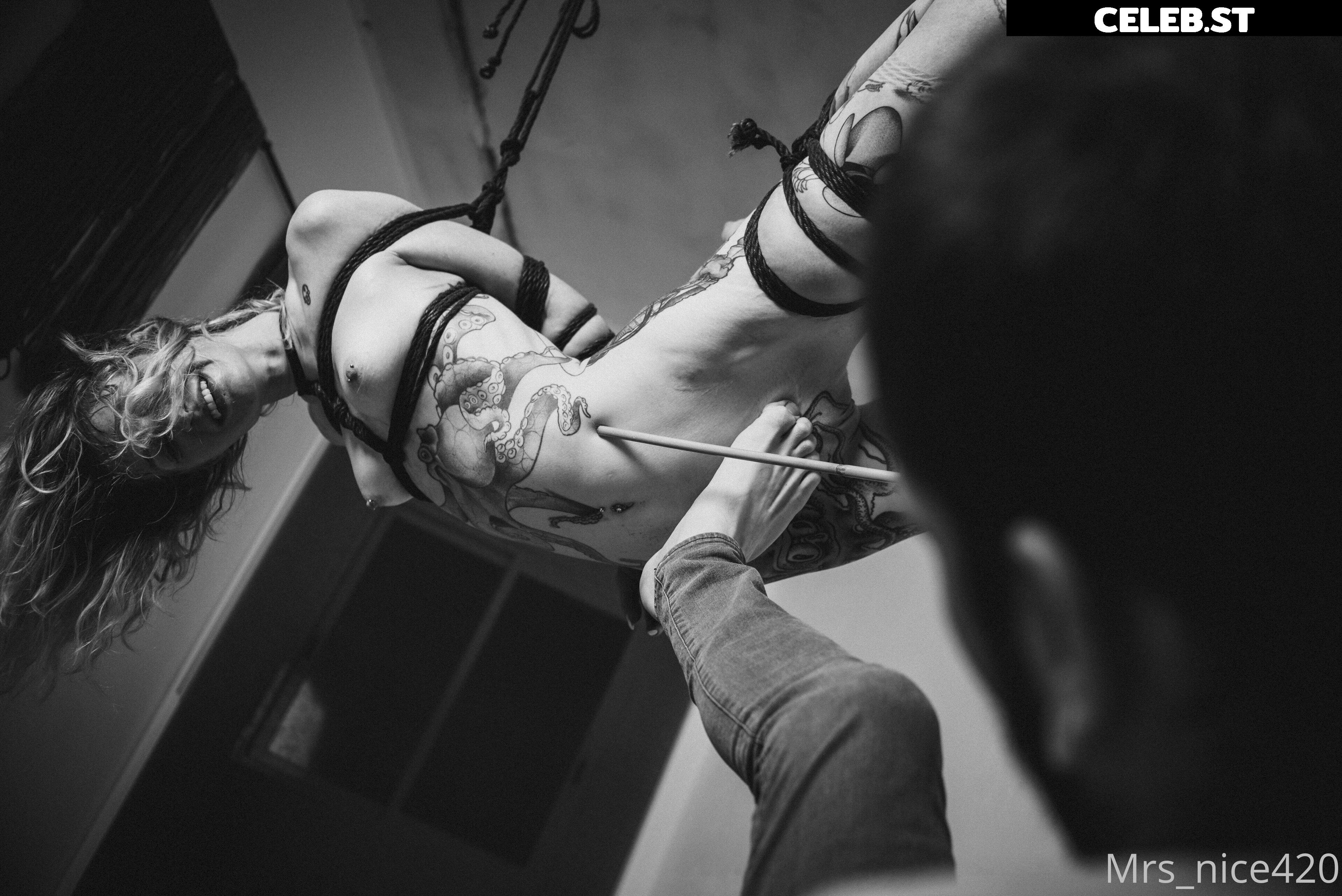 mrs_nice Image 2358043